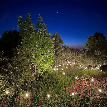 Glamping San Bart Hotel San Vincenzo Exterior photo